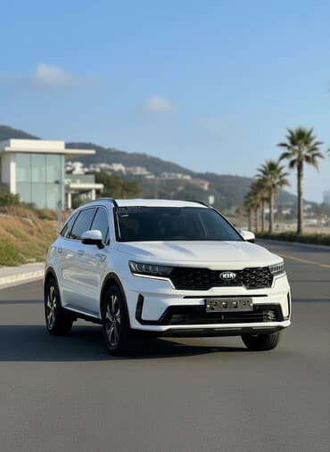 инструменты для авто: Kia Sorento: 2020 г., 2.2 л, Типтроник, Дизель, Внедорожник — 1