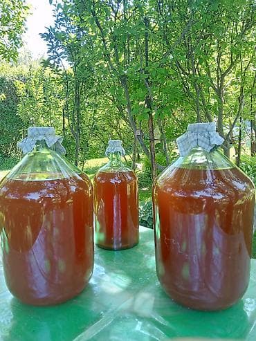 Үй жана бакча: Продаю натуральный домашний не пастеризованный винный уксус 20 летней — 2