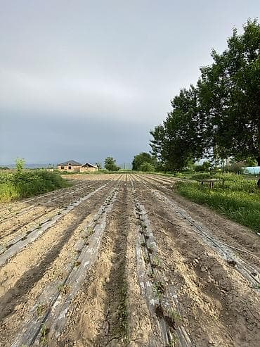 новый бизнес: 📌В селе Садовое по трассе Кара Балта Бишкек продается большая — 8