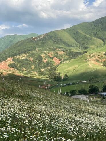 продаю дом ак босого: Үй, 120 кв. м, 6 бөлмө, Менчик ээси, Евро оңдоо — 23