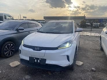 mini ev: Weltmeister EX5, 2021 г., 100000 км — 4