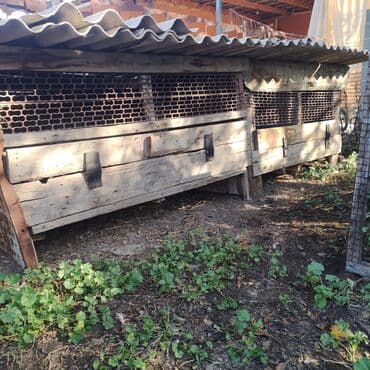 Грызуны: Продаю кролятник для кроликов есть две штуки за две штуки.можно и для — 1