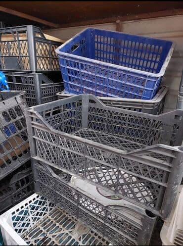 Ящики: Пластиковый Ящик, Б/у — 1