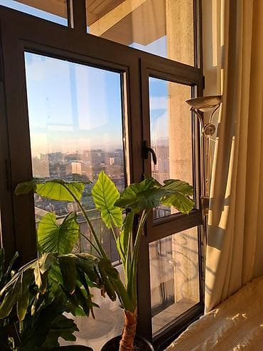 аристократ: 1 комната, 52 м², 14 этаж, Свежий ремонт — 1