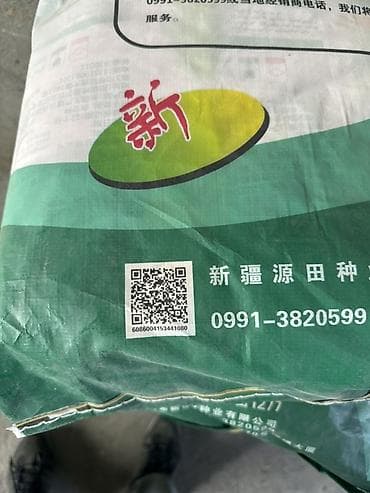 золотые часы бишкек: Кукурузные семена YuanTian 1277 (源田1277) - Производитель: Grandfield — 3