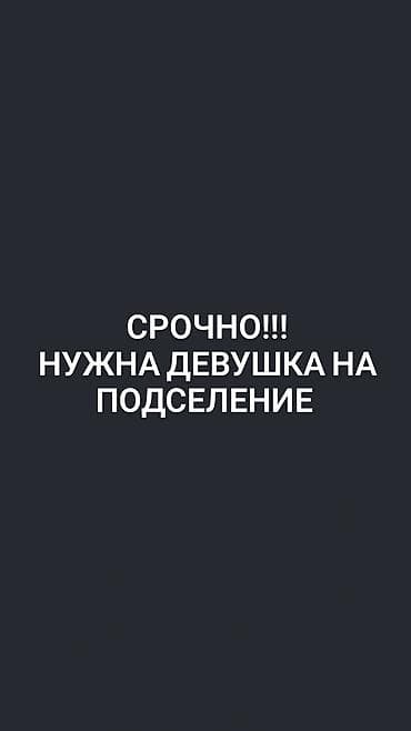 баа: Срочно требуется девушка на подселение. Ищем соседку для совместного — 1