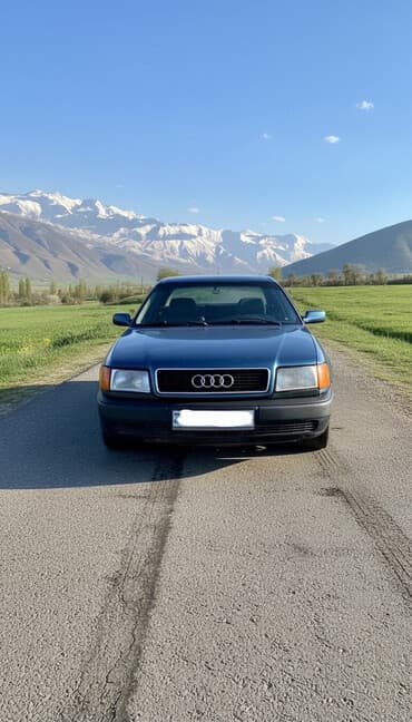 глушитель на опель зафира а: Audi 100: 1991 г., 2.3 л, Механика, Бензиновая, Седан — 1