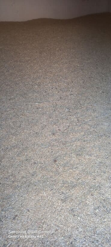 детскую кроватку кроватка к: Буудай, арпа сатылат. Арпа байчечекей — 2