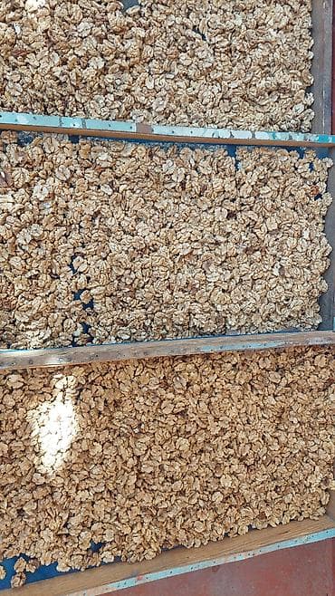 малина цена за 1 кг: Грецкий орех очищенные бабочка 70%80 адрес ошская область — 7