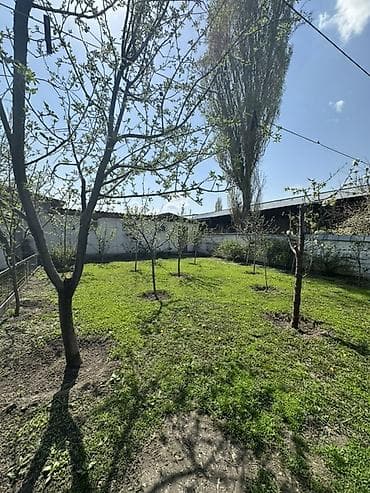 куплю продаж: 📍В Сокулуке в районе птицефабрики от трассы 500 м продается дом на — 5