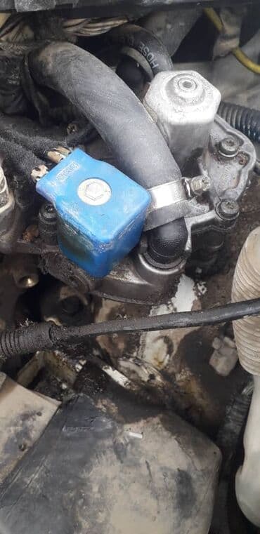 очень нужны: ГБО, Новый, Китай — 19