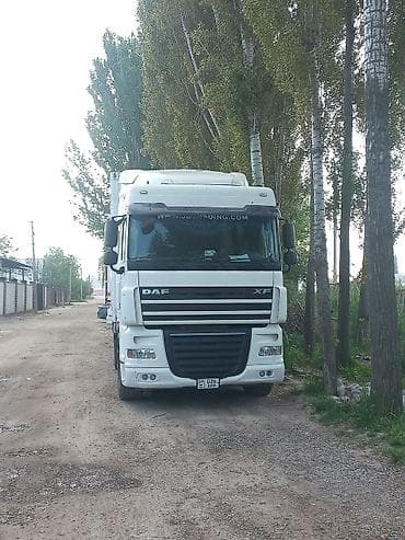 Тягач, DAF, Холодильник, рефрижератор