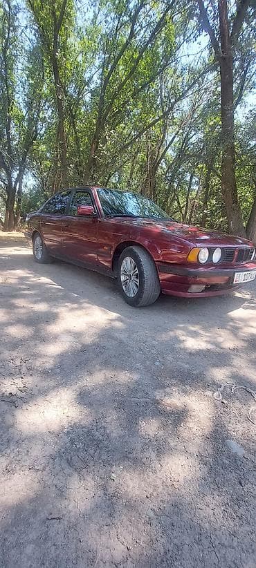 540 е34: BMW 5 series: 1992 г., 2.5 л, Механика, Бензин, Седан — 4