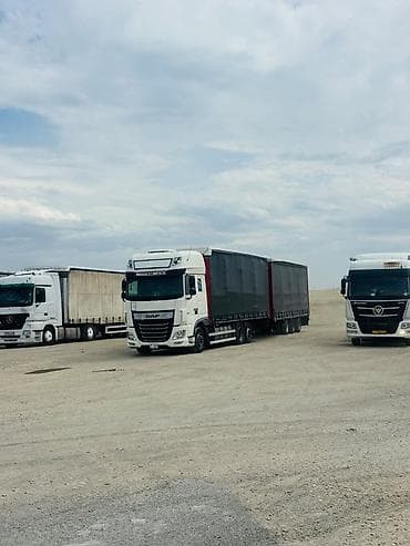 Тягач, DAF, 2018 г., Шторный