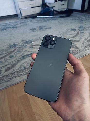 iphone xs lalafo: IPhone 12 Pro Max, Графит, Чехол — 3