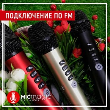 микрофон конденсаторный: Micmagic L600 самый лучший караоке микрофон — 4