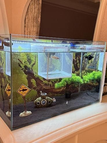 Аквариумы: Продам два аквариума в идеальном состоянии! 🐠 Продаю в связи с — 3