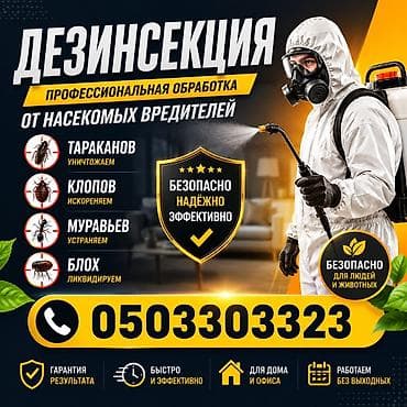 Клининговые услуги: Дезинсекция — профессиональная обработка от насекомых-вредителей. - — 1
