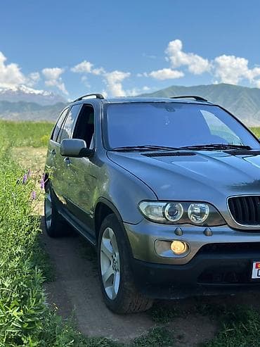 BMW X5: 2004 г., 3 л, Автомат, Дизель, Кроссовер