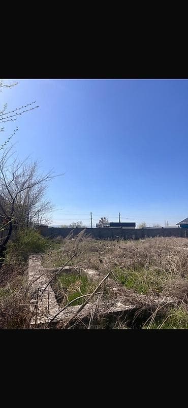 свет новопавловка: 5 соток, Красная книга — 3