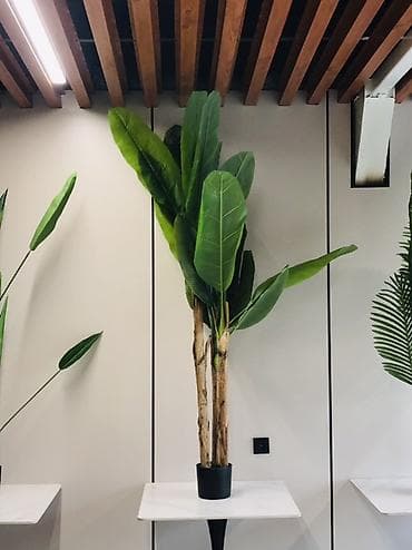 Декор и интерьер: 🌿 Искусственные декоративные растения премиум качества • Высота 160 — 2