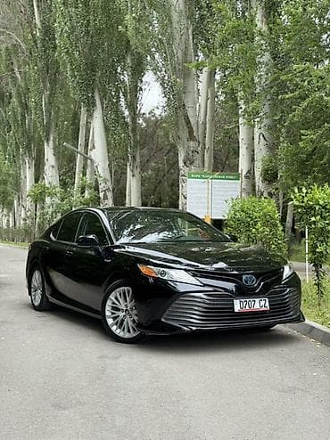 camry 5: Toyota Camry: 2019 г., 2.5 л, Вариатор, Гибрид, Седан — 1