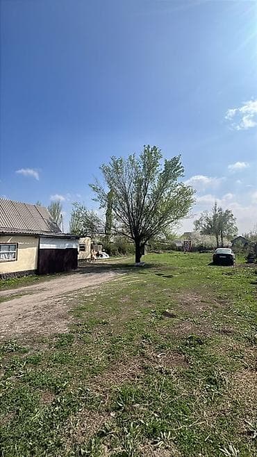 Кыймылсыз мүлк: 10 соток, Бизнес үчүн, Кызыл китеп, Техпаспорт — 3