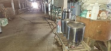 брудер для кур: Нужен скотник и доярка — 1