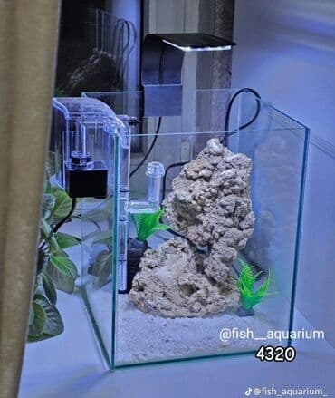 подарок девушке на новый год бишкек: Идеи для подарка на новый год. Комплекты с дизайном и оборудованием — 3