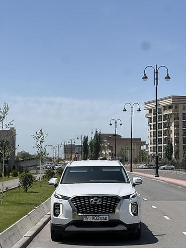 Hyundai Palisade: 2018 г., 2.2 л, Автомат, Бензин, Кроссовер