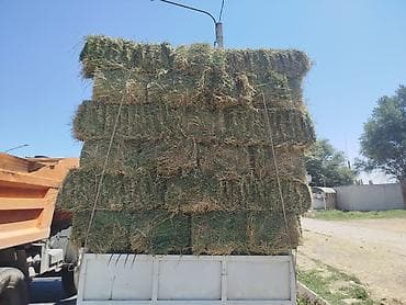Крупы, мука, сахар: ☘️🍀🍀Продаю Клевер ✅ 2 кос 💯 качество 🚚 доставка - — 1