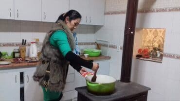 газовая печь для дома цена: Silver ekonom odun kömür mesteri 3ji garanti biskek osh calalabat — 11