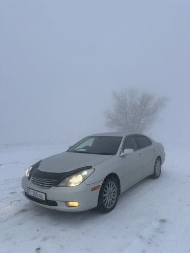 зимние шины бишкек купить: Toyota Windom: 2001 г., 3 л, Автомат, Бензин, Седан — 1