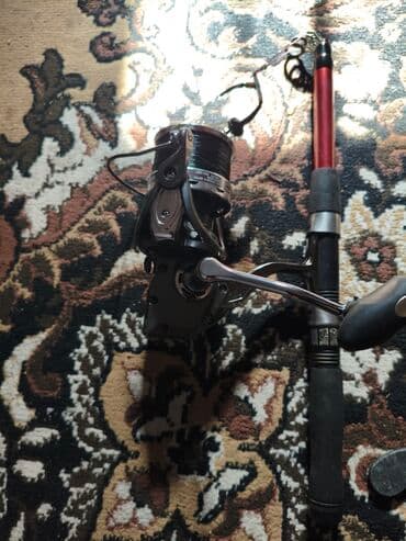 рагадка для рыбалки: Катушка жилка новый жилка 300 метр Набор для рыбалки: два спиннинга с — 2