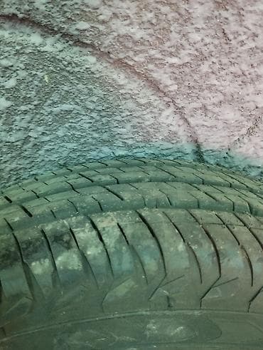 r 16: Шины R 16, Лето, Б/у, 1 шт, Легковые, Чехия, Continental — 5