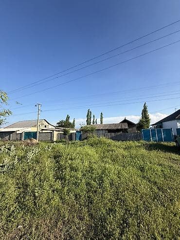 артез: 7 соток, Красная книга, Договор купли-продажи — 8
