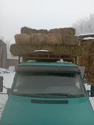 силос в мешках: Продам тюковое сено. - Упаковано в прямоугольные тюки, удобные для — 2