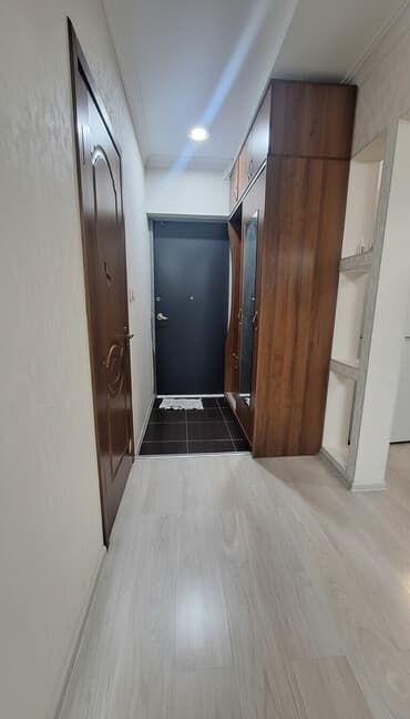 single room flat: 2 комнаты, С мебелью полностью — 8