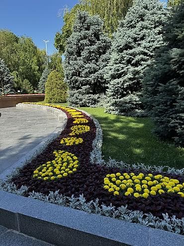 кардиган на мальчика: Сниму на сезон в аренду коттедж, гостевой дом или мини пансионат — 1