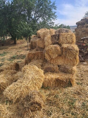 разное для дома: Саман сатылат стройкага 80 шт бар — 1