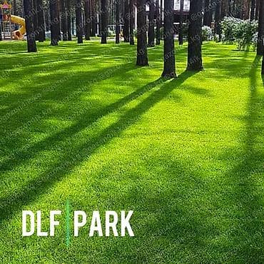 купить газону траву: 🌱Теневой газон PARK - для участков где из-за отсутствия попадания — 8