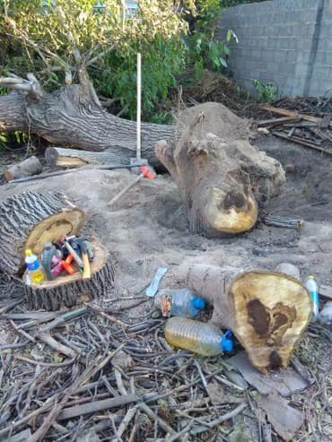 слом дома и вывоз мусора цена: Пилю деревья, дрова, корчевание пней, кустарников, расчистка — 3