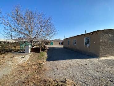 село раздольное кыргызстан: Сдаю в аренду базу в селе Раздольное для МРС и КРС(бычки 100 голов) — 6