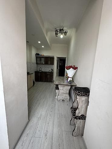 баа: 1 бөлмө, Менчик ээси, Толугу менен эмереги бар — 4