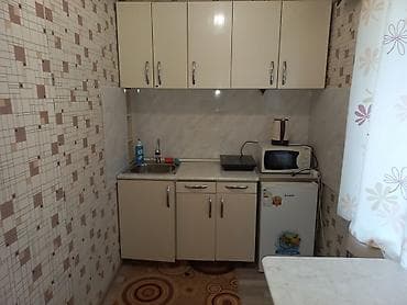 Кыймылсыз мүлк: 1 бөлмө, Менчик ээси, Чогуу жашоосу жок, Толугу менен эмереги бар — 2