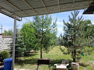 участок в горах: Участок с садом и домом. - Просторный ровный двор, газон ухожен — 7