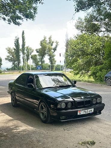 BMW 5 series: 1991 г., 2.5 л, Механика, Бензин, Седан