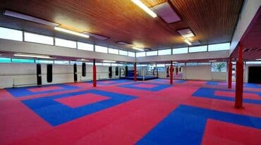 теннисные ракетки настольные: Дзюдо татами Мат Мат Мат 1)Дзюдо маты 2)Маты борцовские UWW — 12