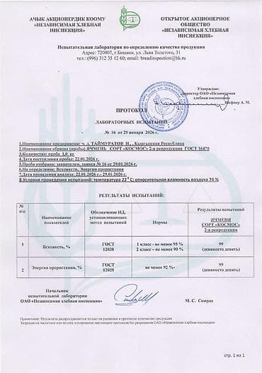 кукуруза белая: Яровой ячмень, сорт „Космос " второй репродукции. Урожай 2025 — 5