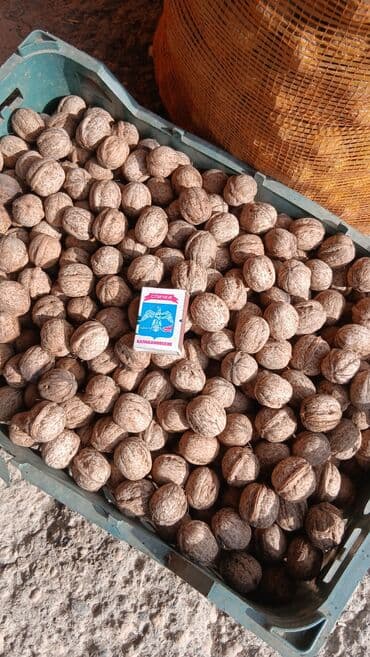 сувениры и картины ручной работы: Орехи — 2